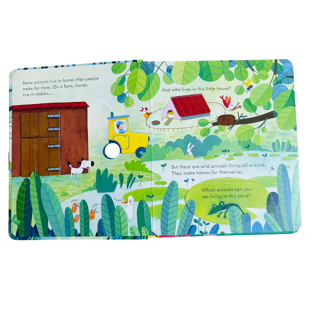 Usborne_Peep_Inside_Animal_Homes.v5
