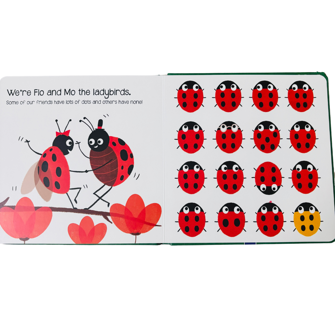 Can You See Me- Touch & Feel Sensory Book