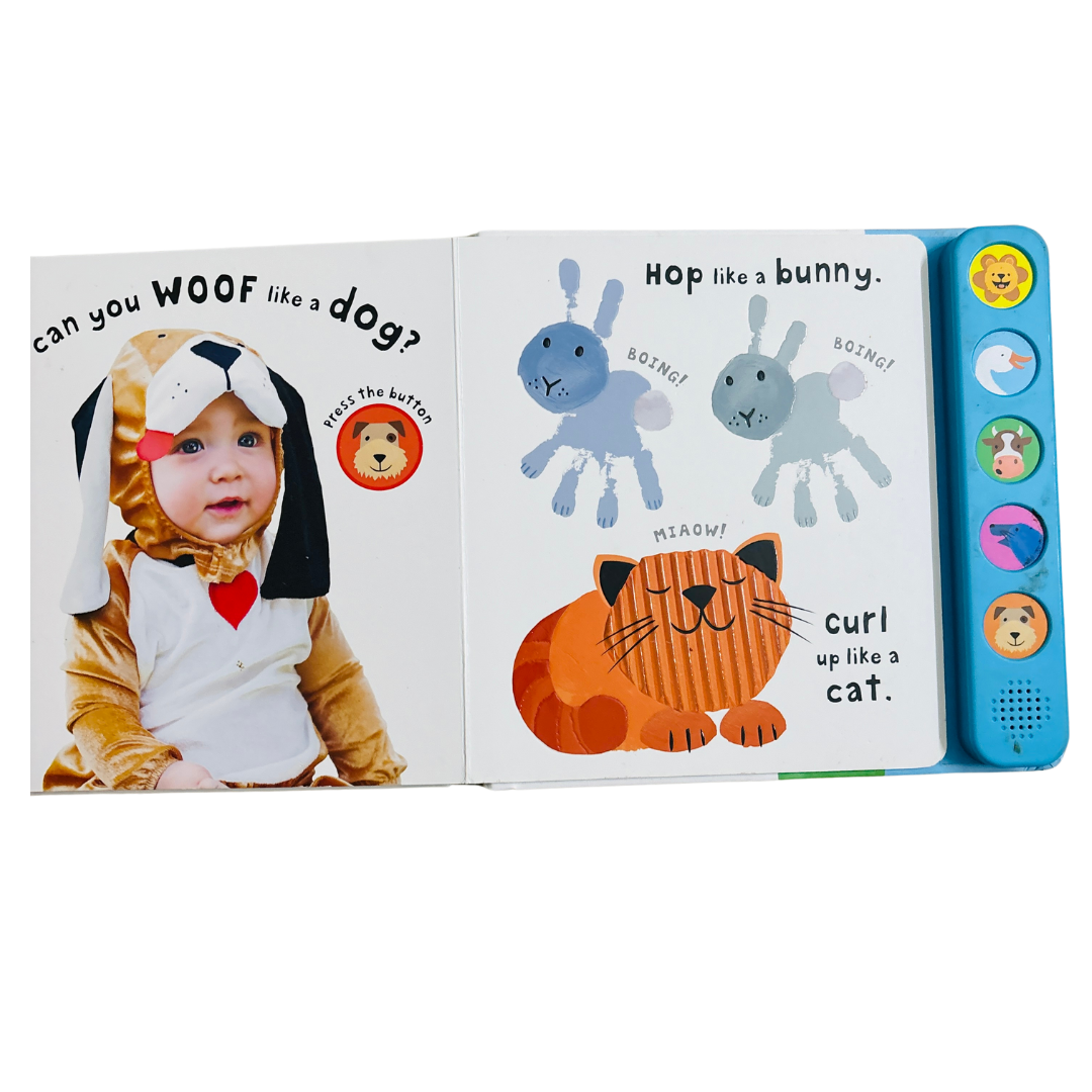 See, Touch, Feel Roar Sound book