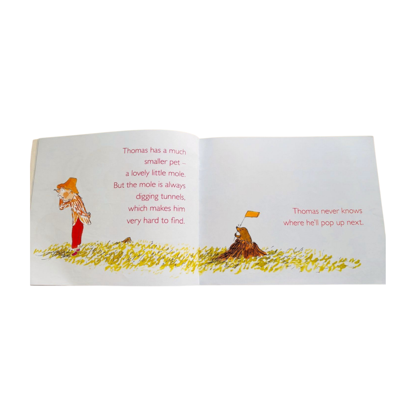 Melissa’s Octopus and other Unsuitable Pets