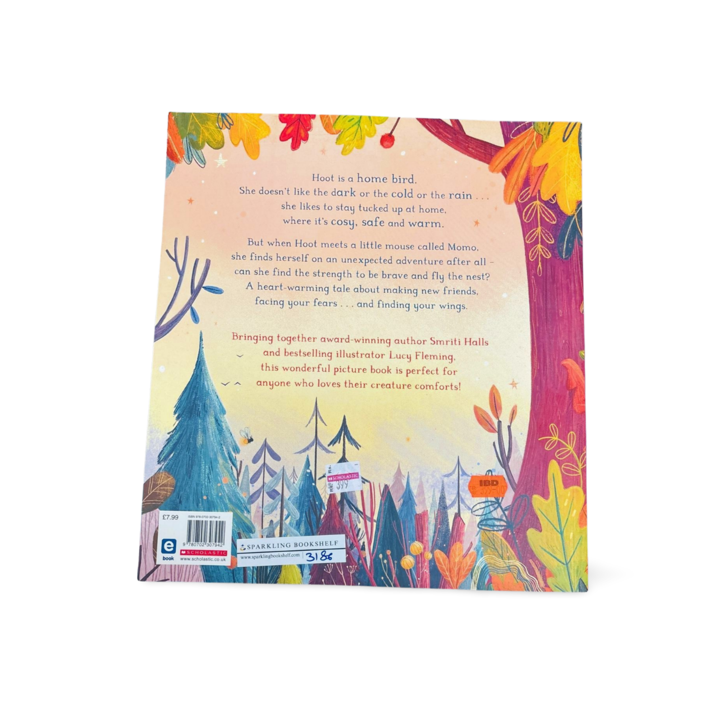 Home Bird Hoot by Smriti Halls & Lucy Fleming