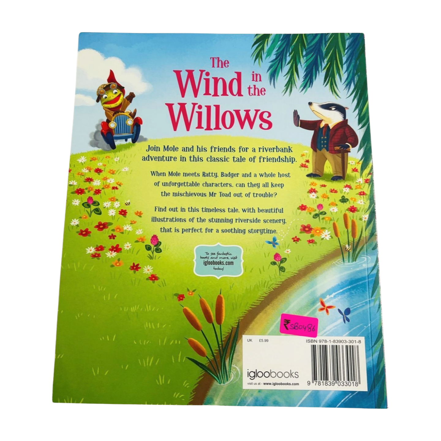 The Wind and the Willows- Retelling with a modern classic