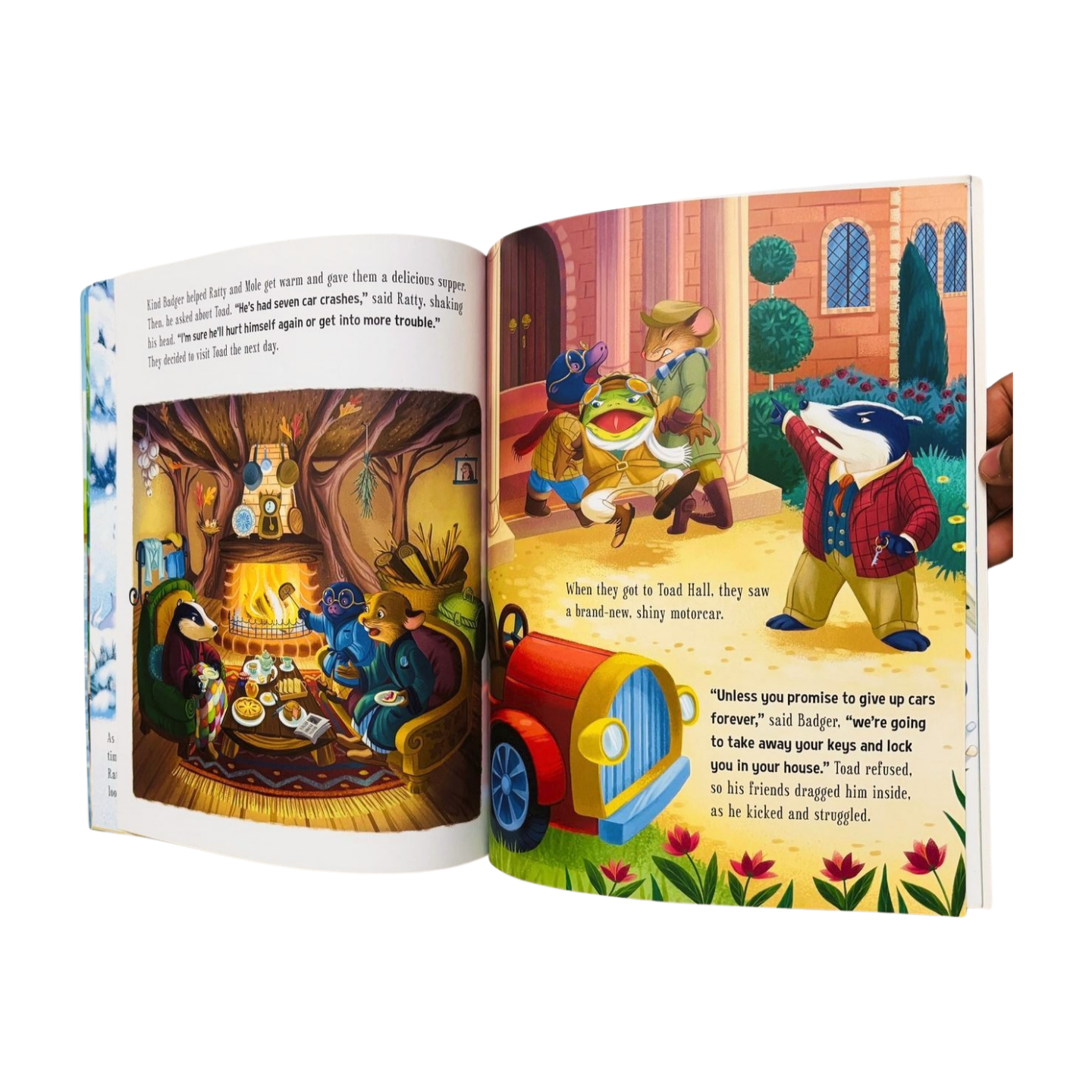 The Wind and the Willows- Retelling with a modern classic