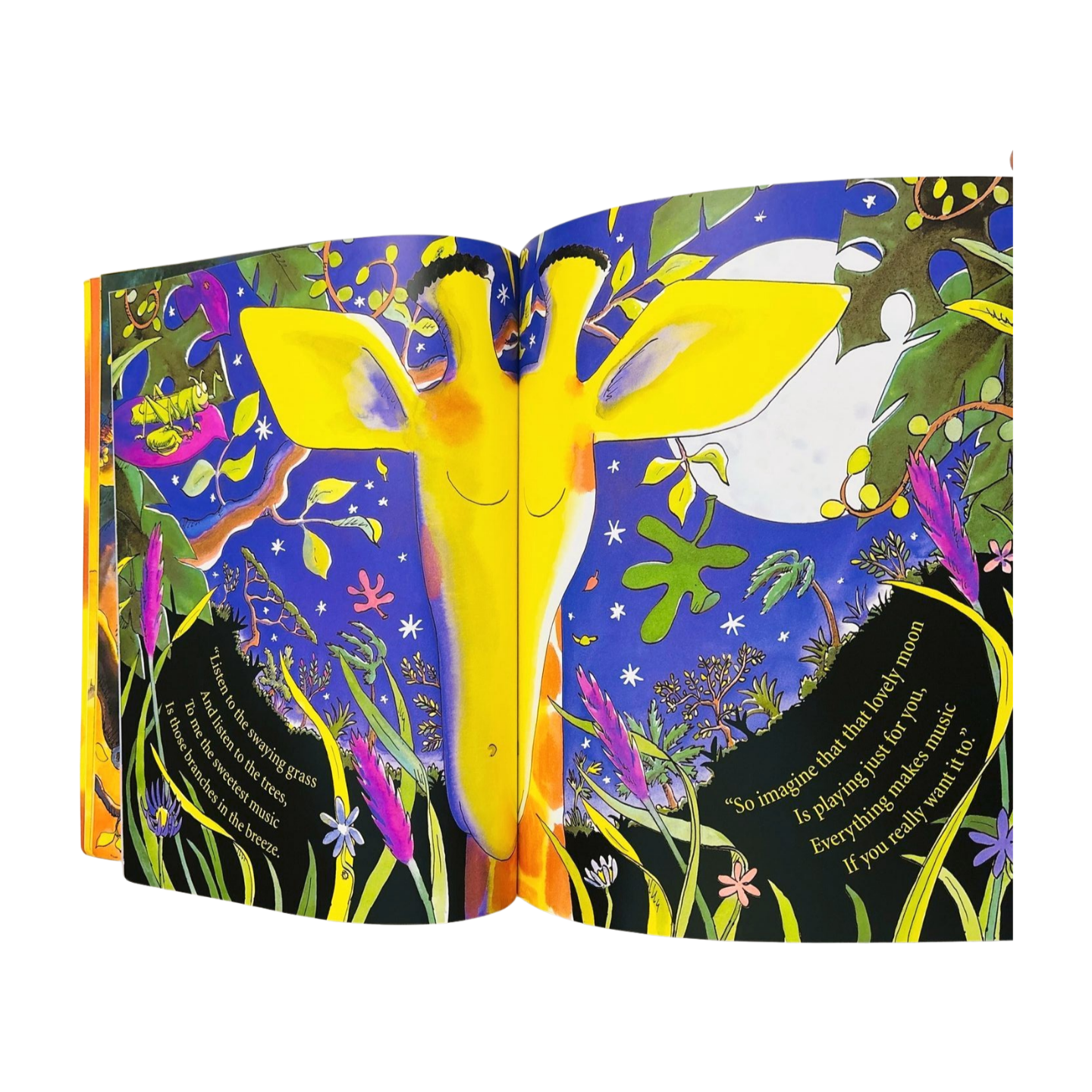 Giraffes Can't Dance by Giles Andreae & Guy Parker Rees