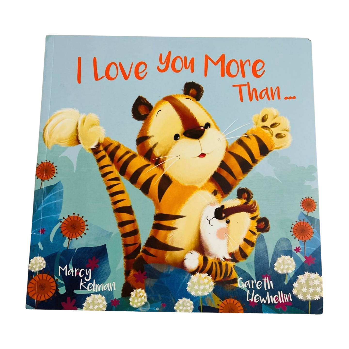 I Love You More Than... Picture storybook