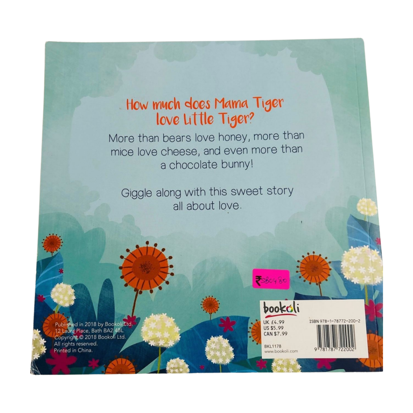 I Love You More Than... Picture storybook