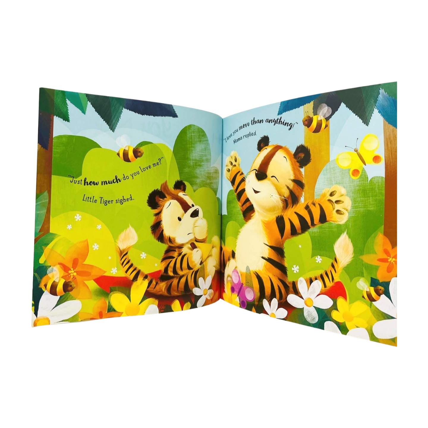 I Love You More Than... Picture storybook
