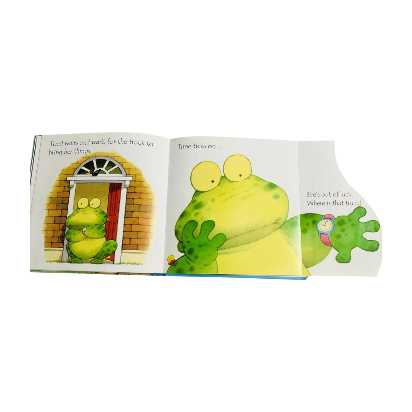 Usborne Phonics Readers Collection- Ted and Friends (4 in 1 flaps book)