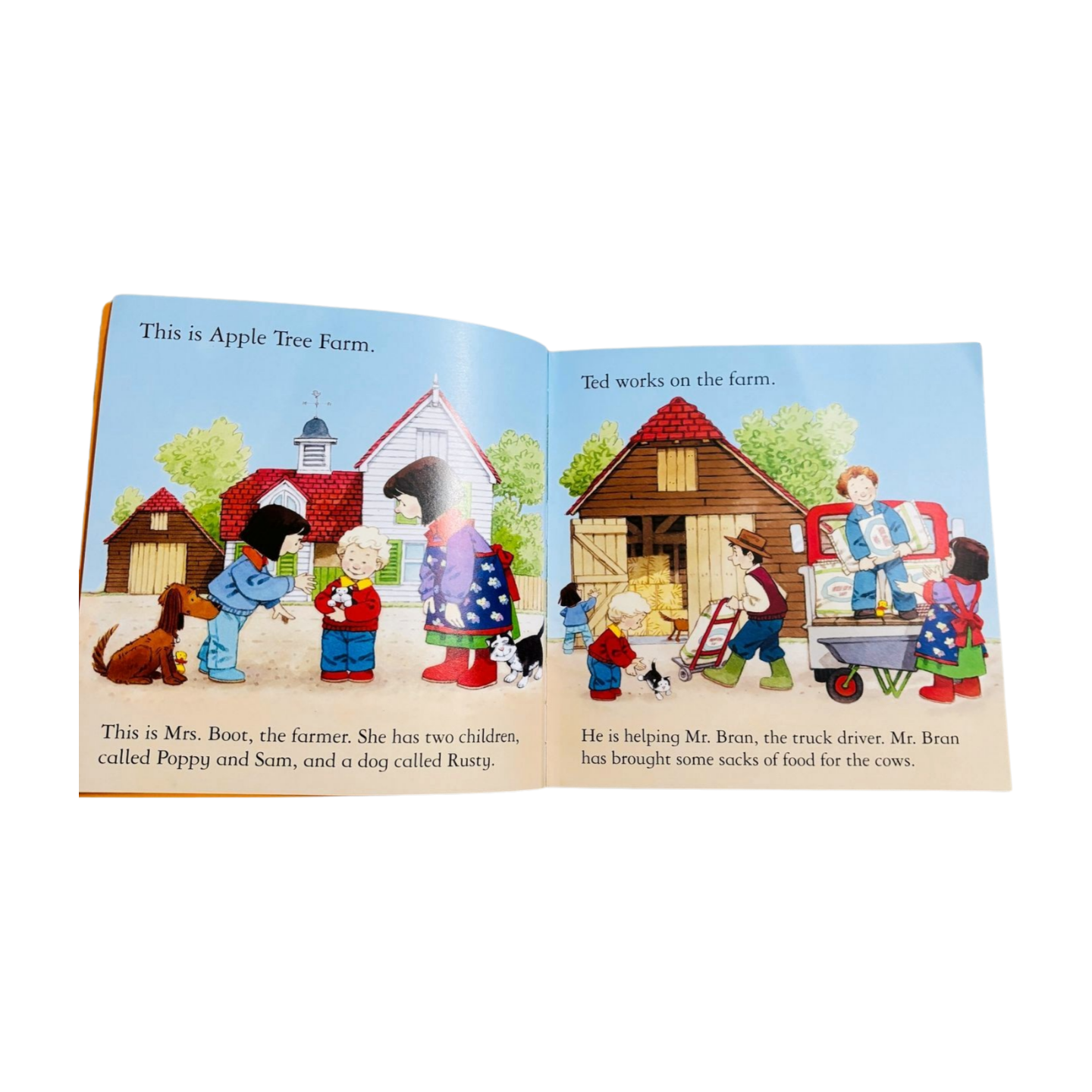 Usborne Phonics Readers- The Big pig on a dig