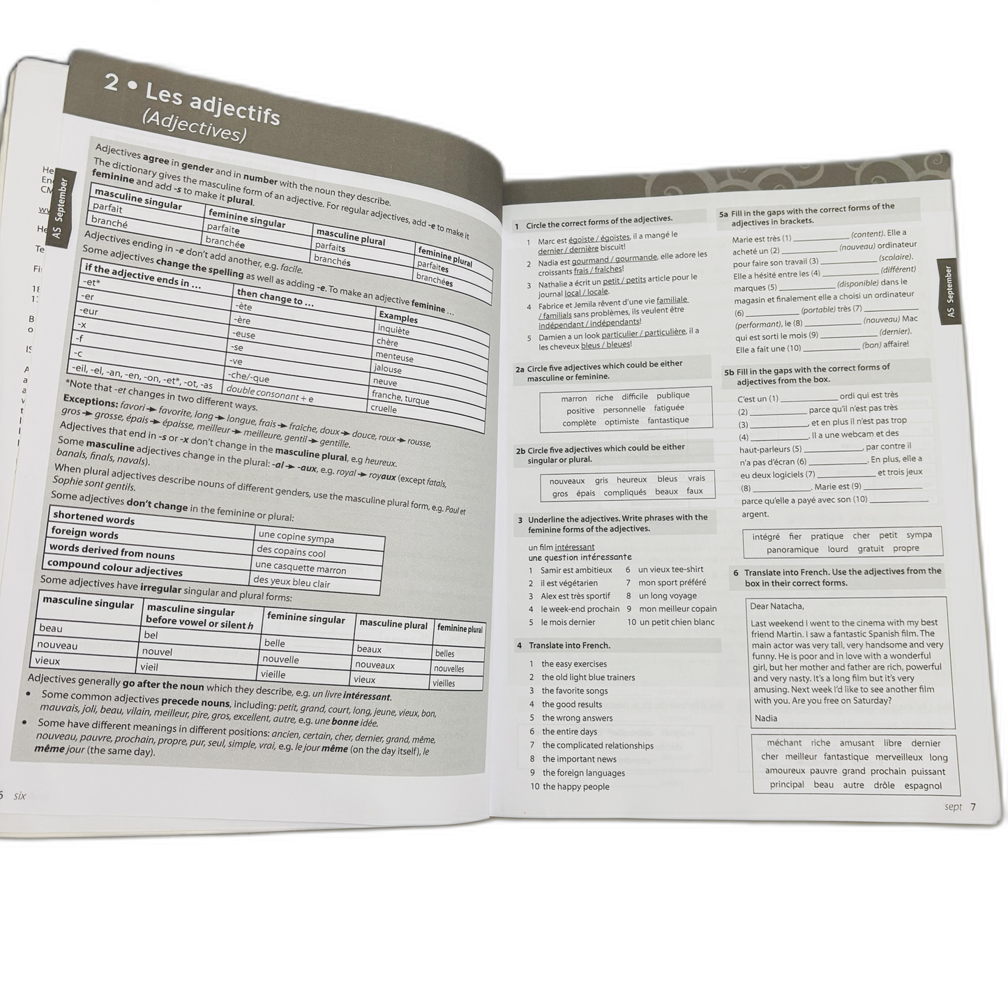 Heinemann A Level French Grammar Practice