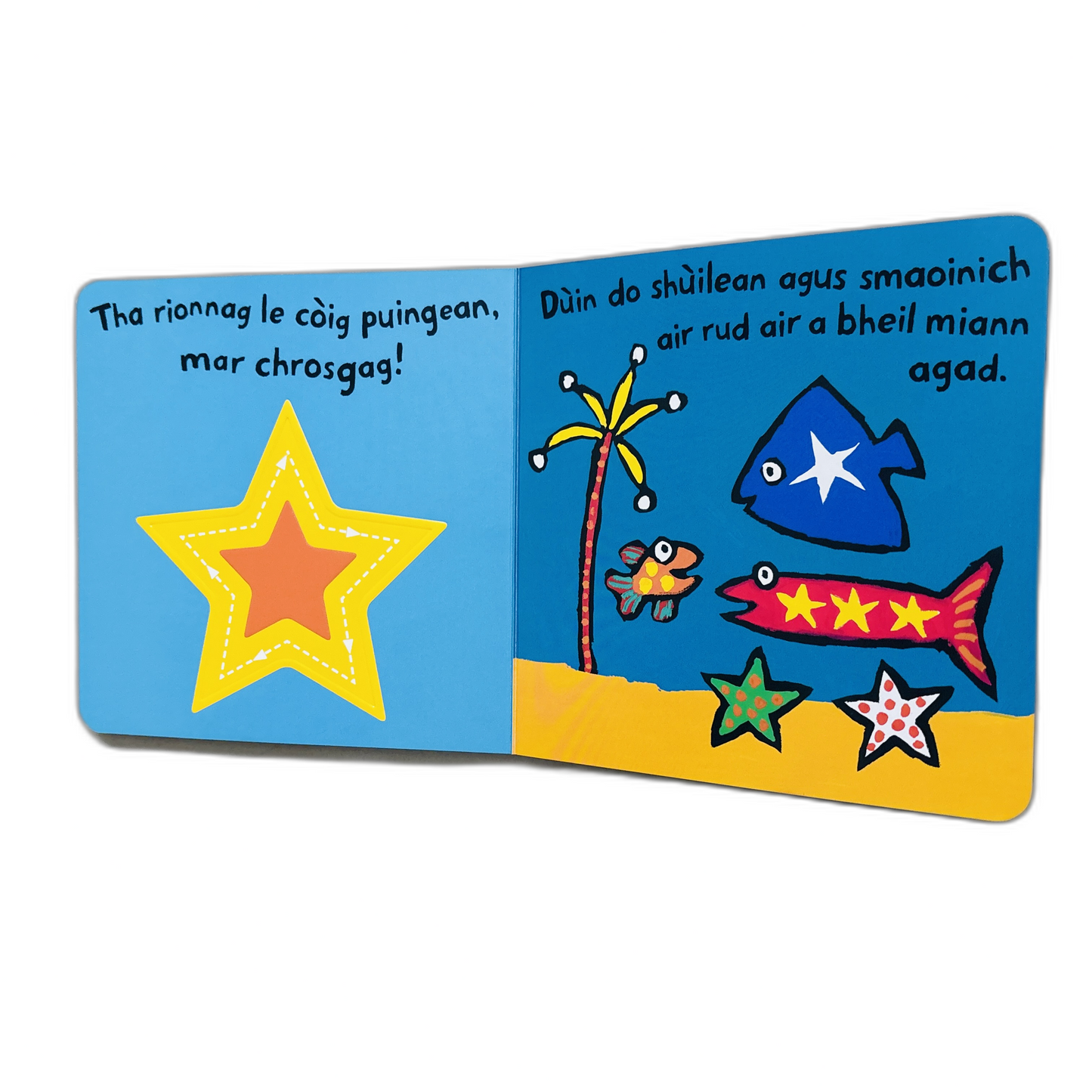 Cumaidhean le Eisg Bheaga by Lucy Cousins (Scottish)