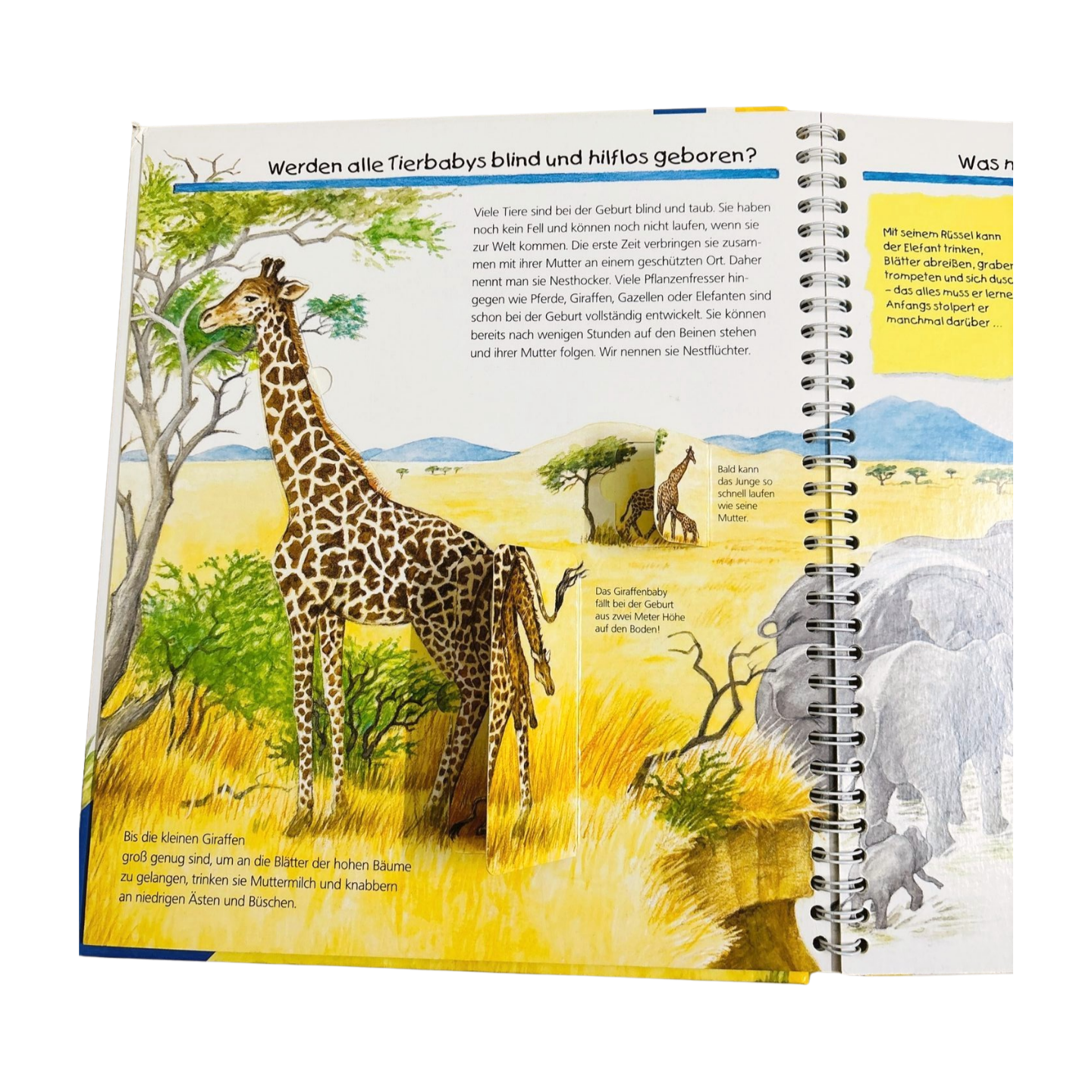 Tiere und ihre Kinder Lift the flap (German)