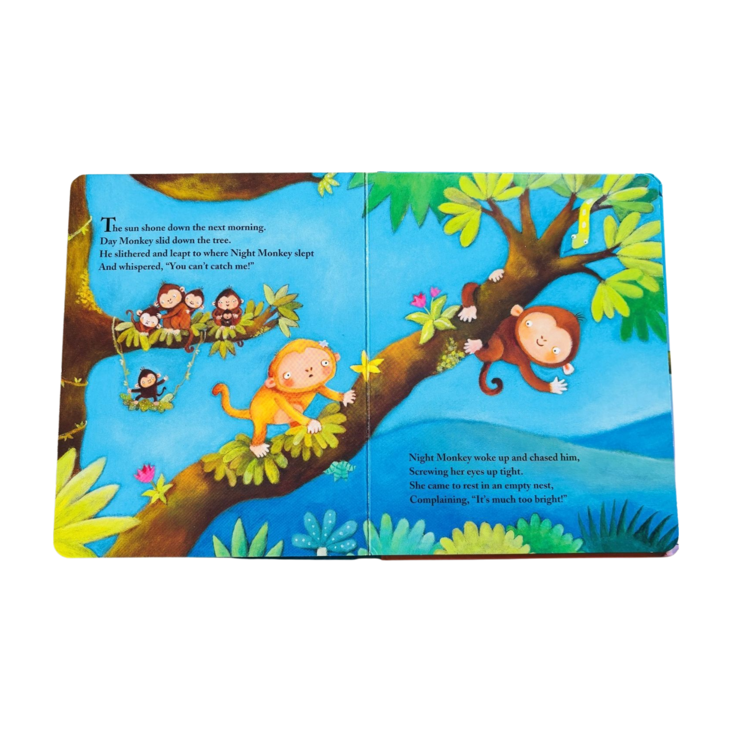 Night_Monkey_Day_Monkey_by_Julia_Donaldson.v5