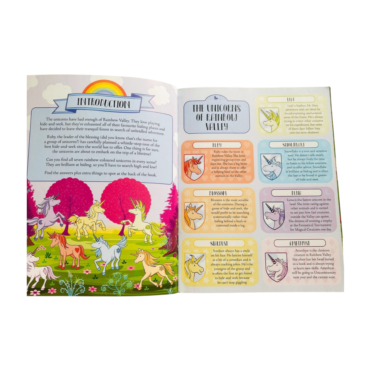 Where's the Unicorn? A magical search & find book