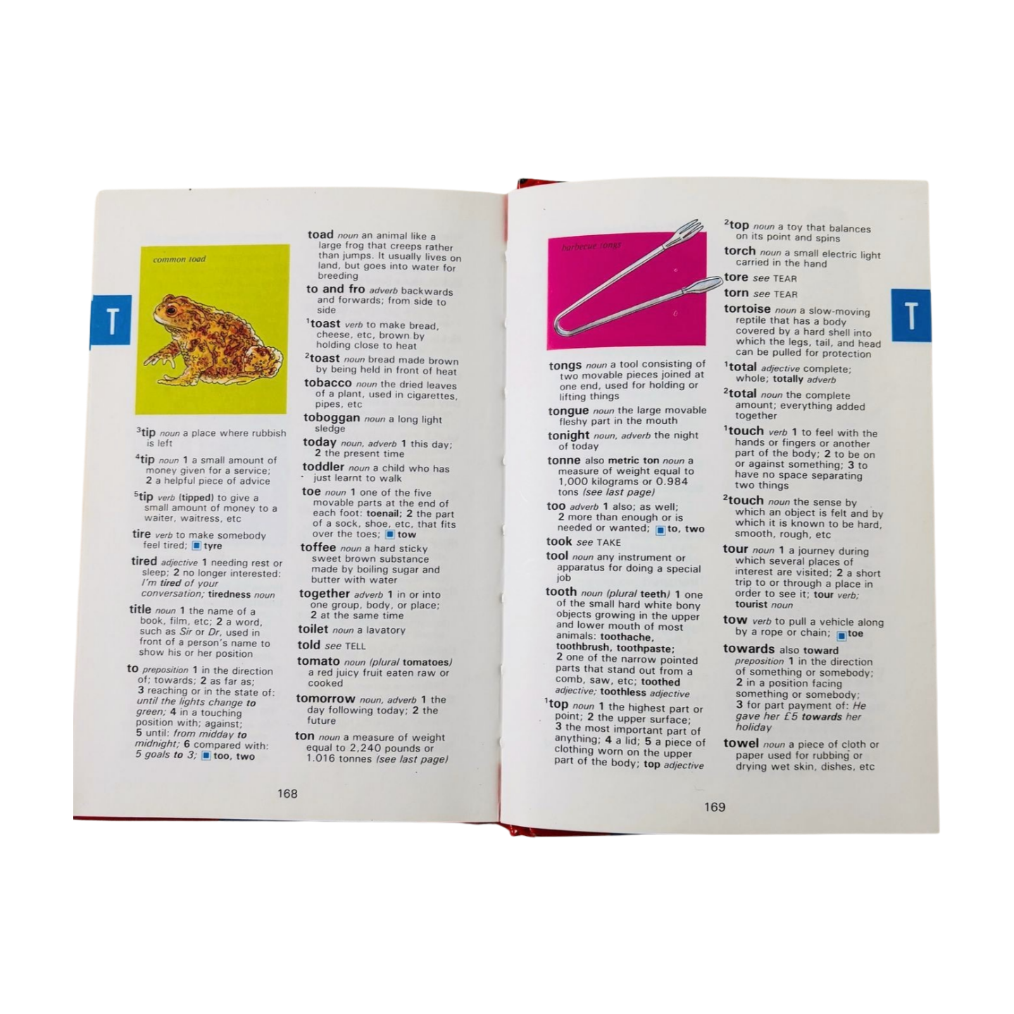 Ladybird Dictionary with colour illustrations (Travel Friendly)