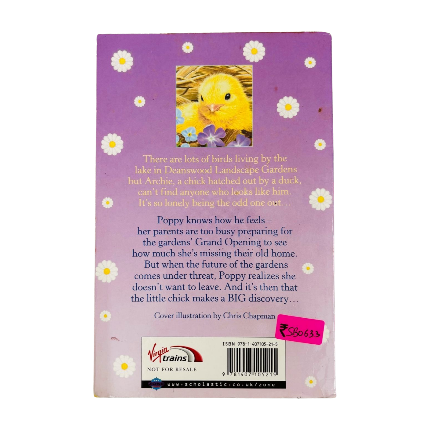 The Lonely Chick by Sylvia Green