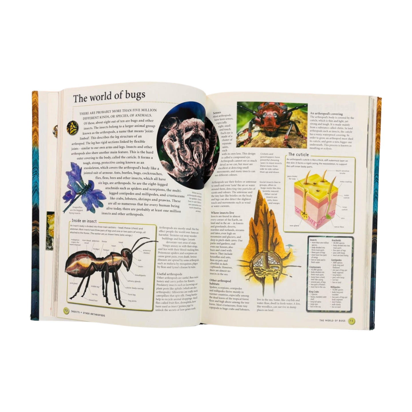 Animals of the World