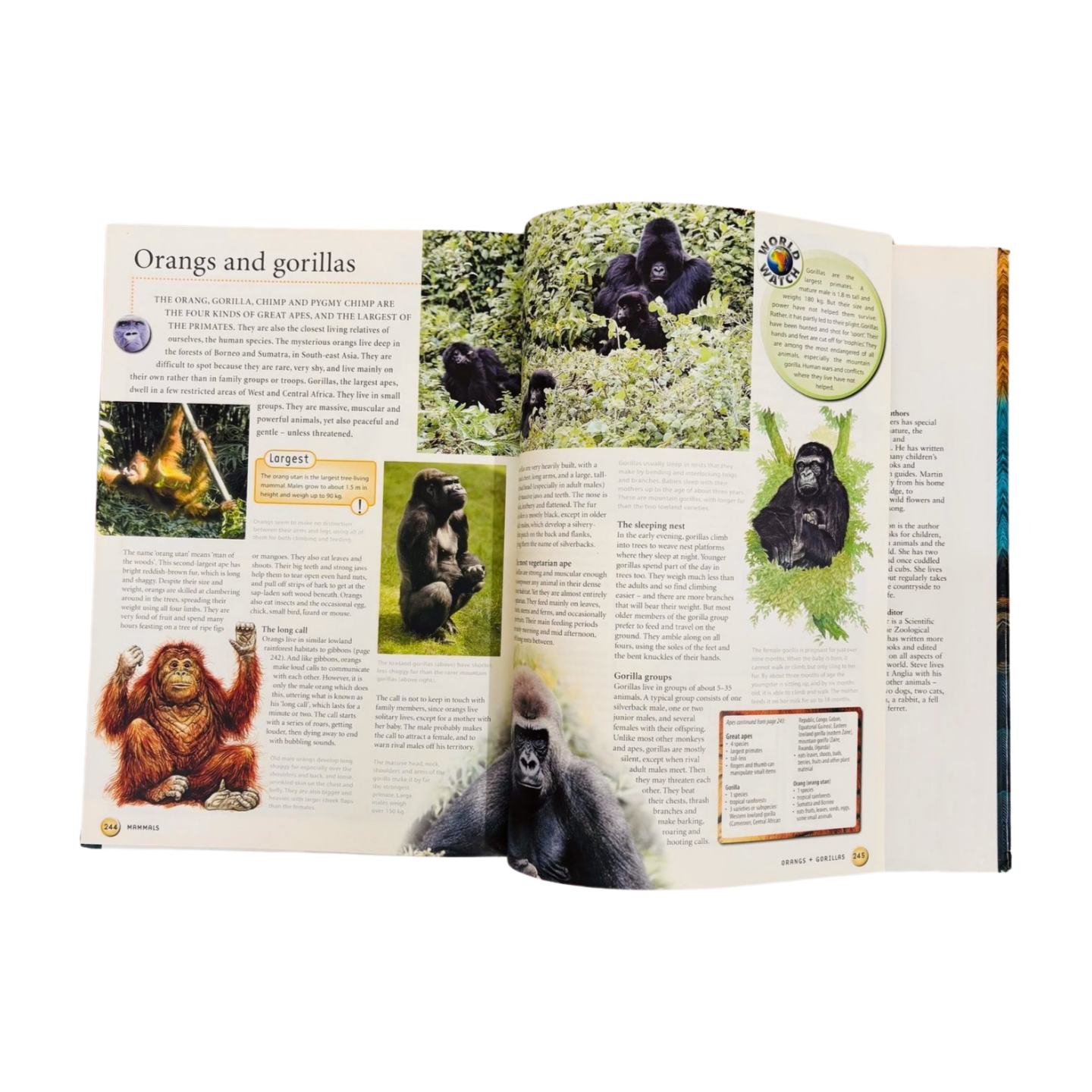 Animals of the World
