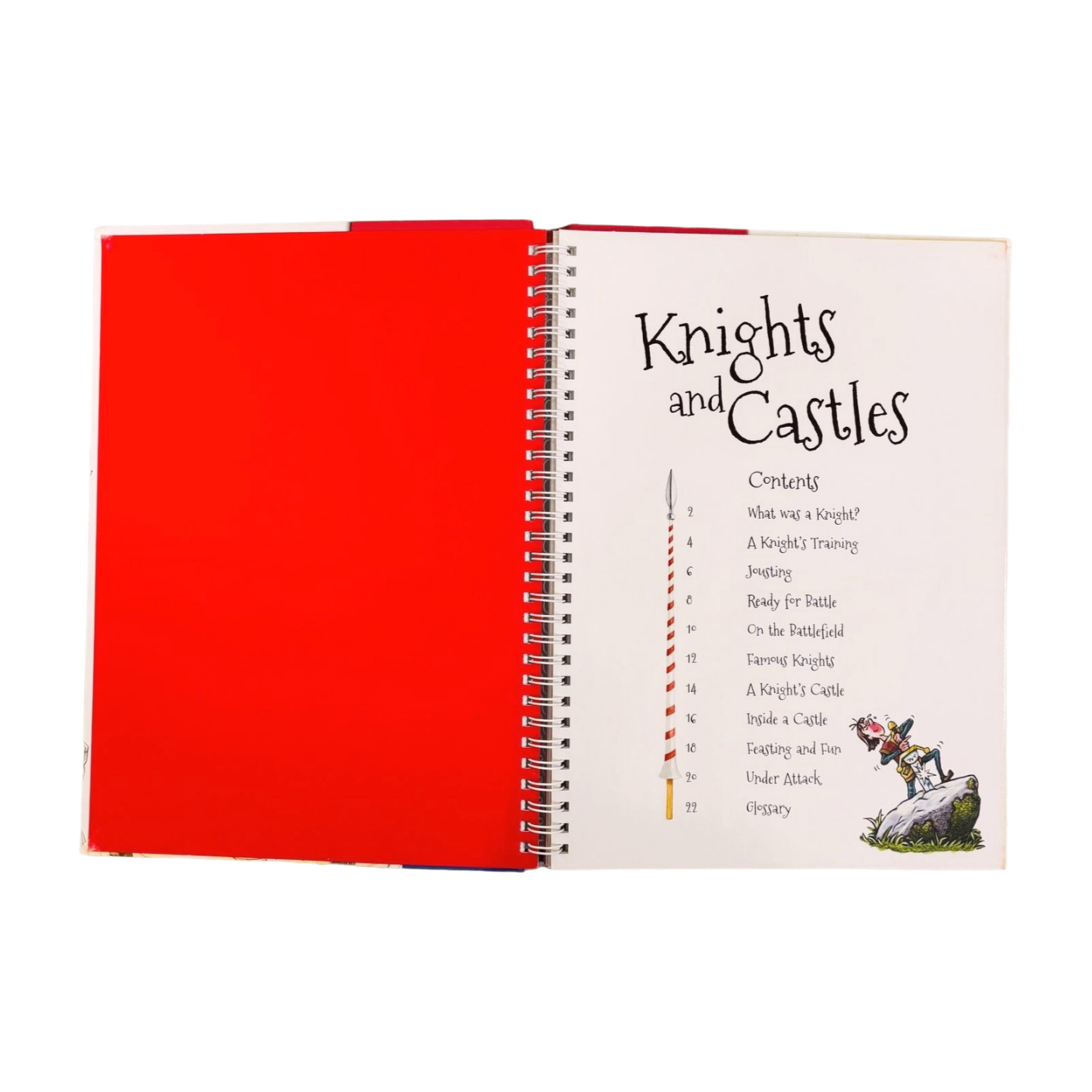 Knights and Castles with Flaps (Hardcover)