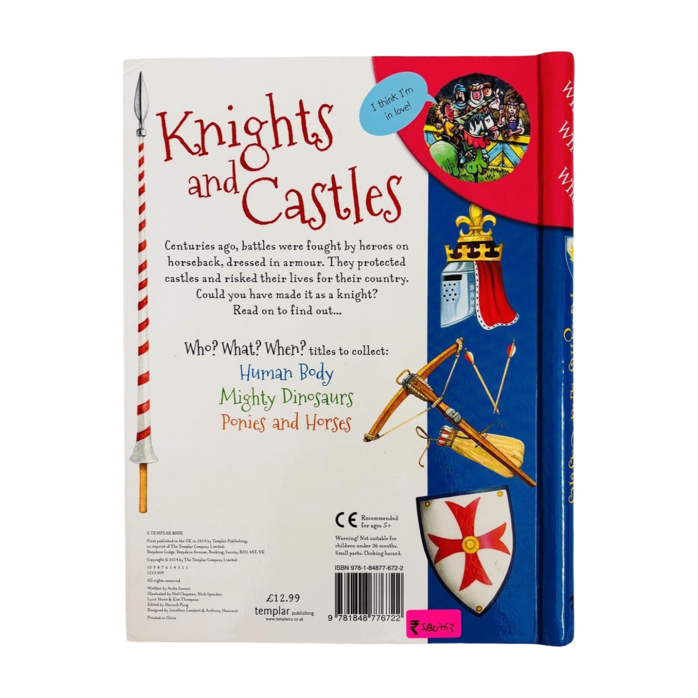 Knights and Castles with Flaps (Hardcover)