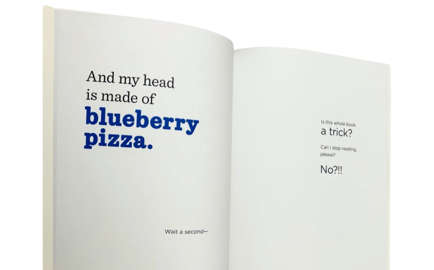 The Book With No Pictures by B.J. Novak
