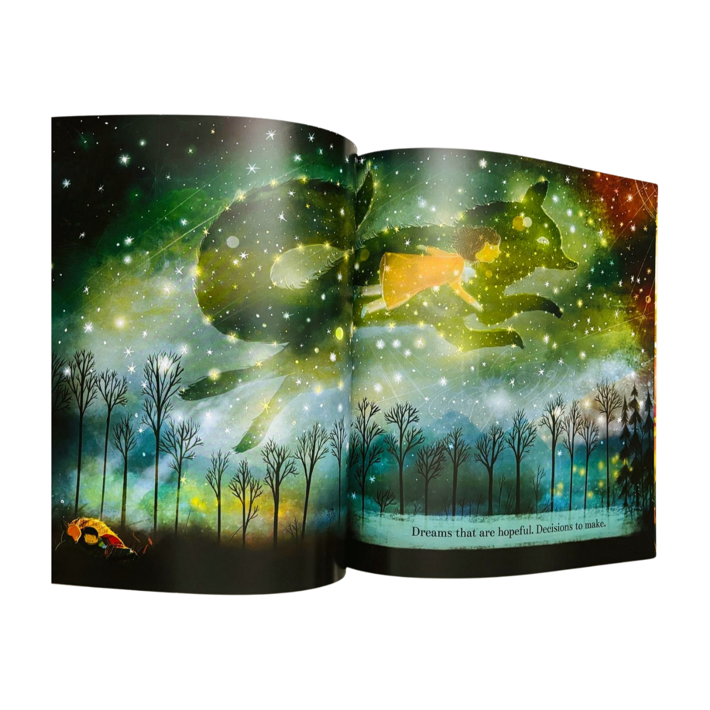 Rain before Rainbows by Smriti Halls & David Litchfield