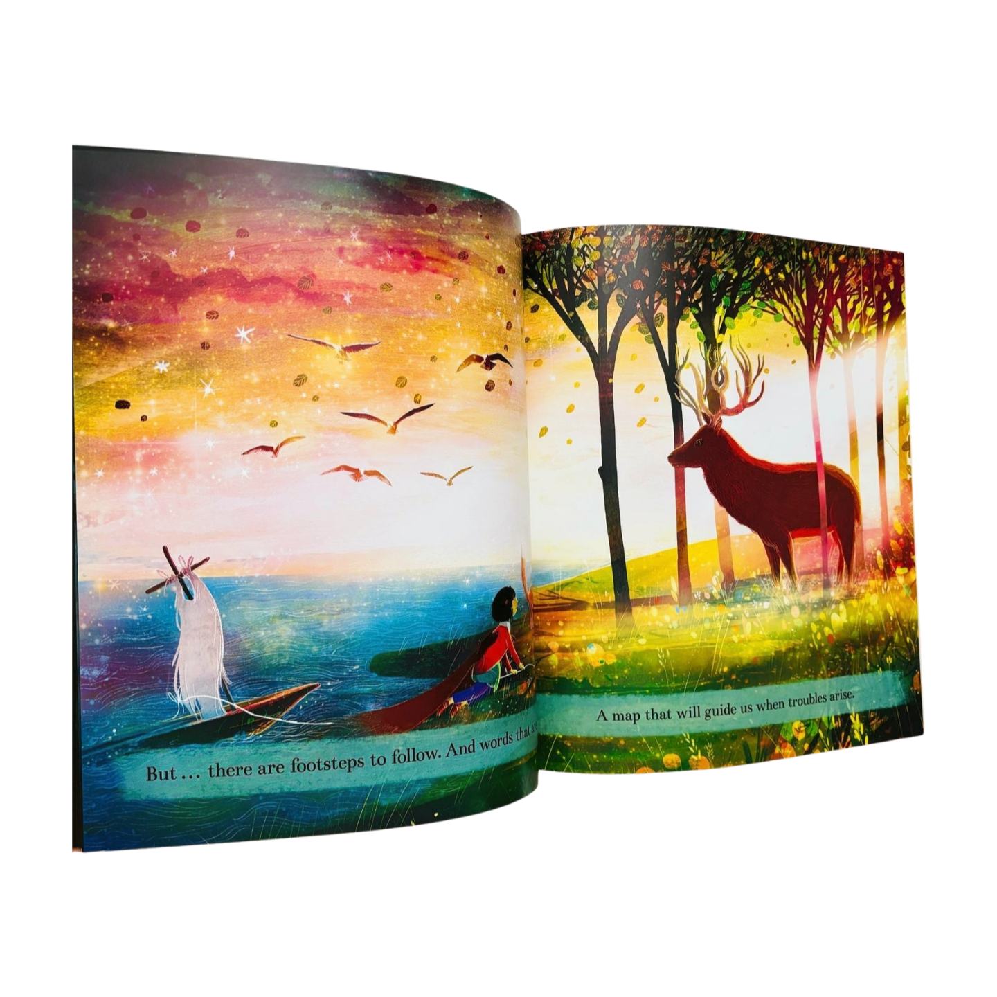 Rain before Rainbows by Smriti Halls & David Litchfield