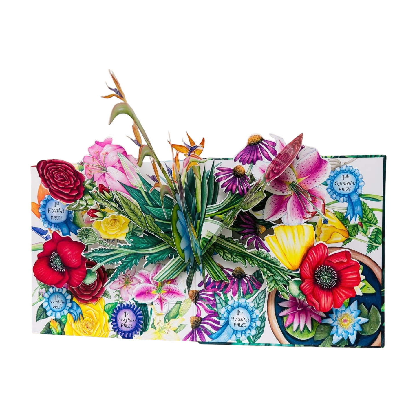 Katy_Petty_The_Global_Garden_Pop_up_Book.V7