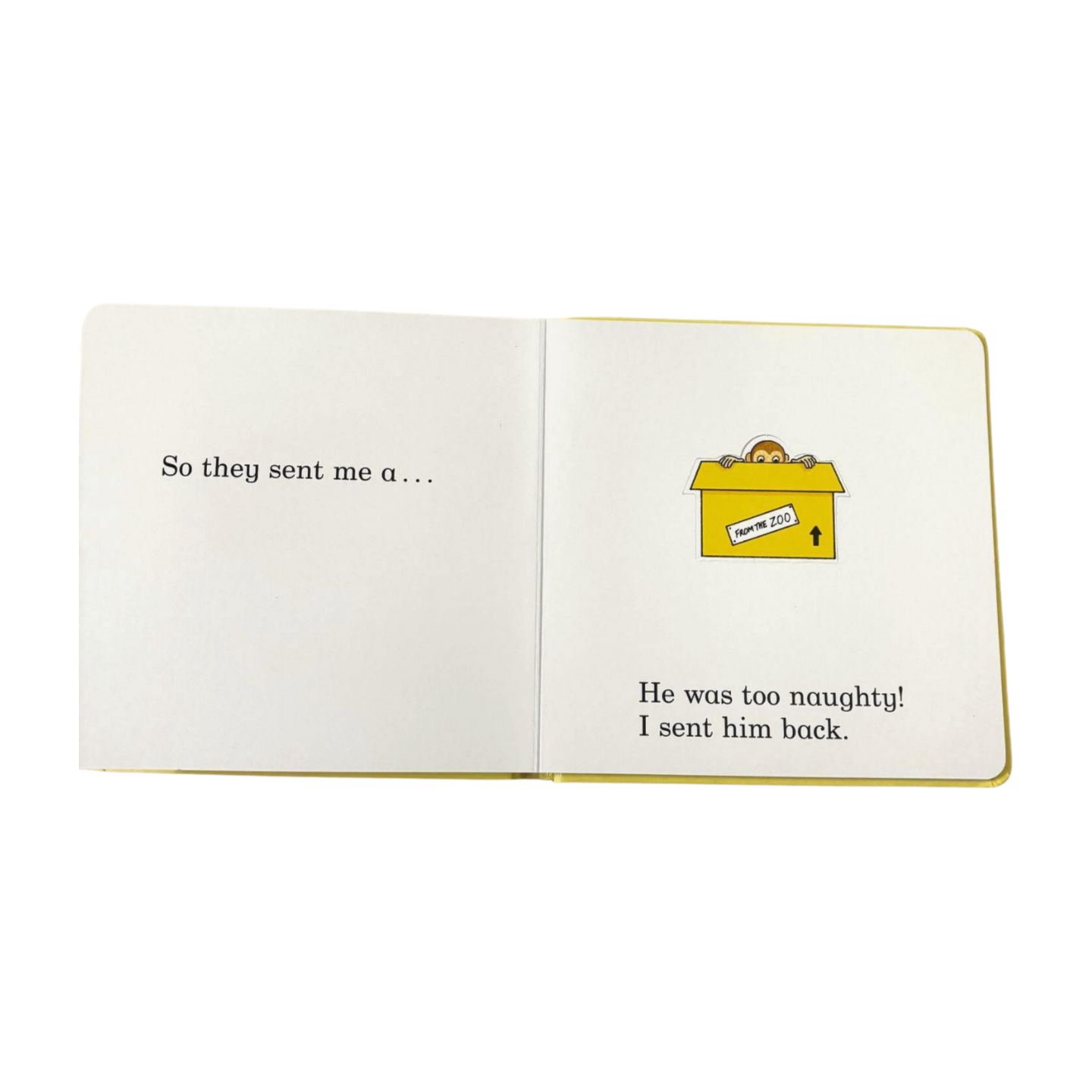 Dear Zoo Lift the Flap by Rod Campbell