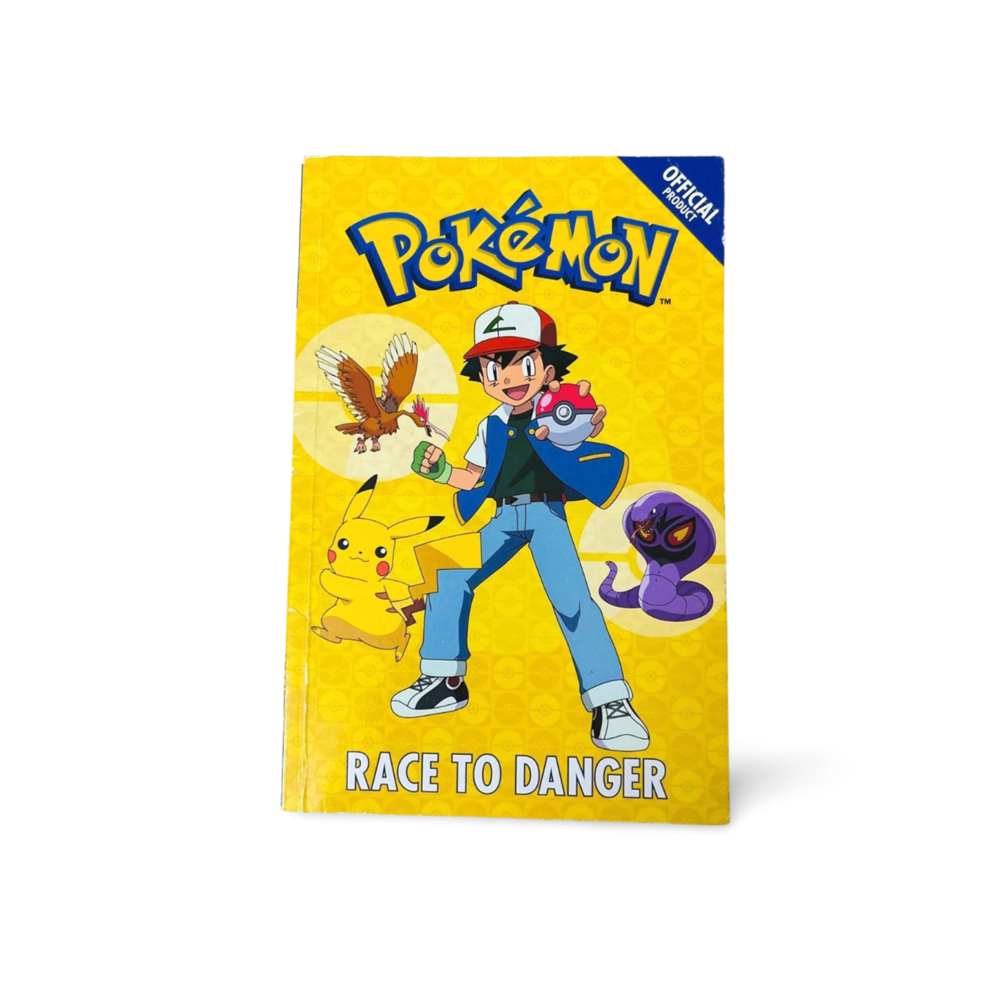 Pokemon Race of Danger