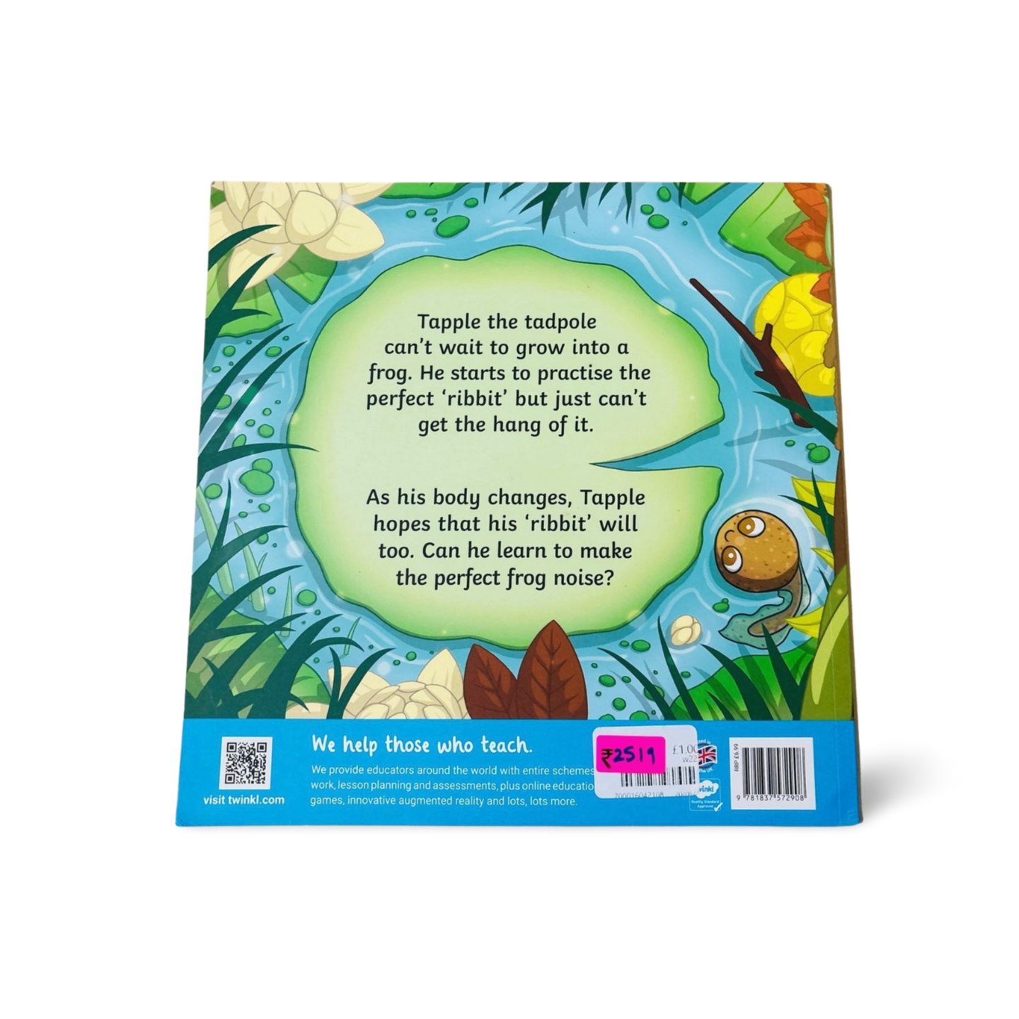 A Twinkl Original The Perfect Ribbit