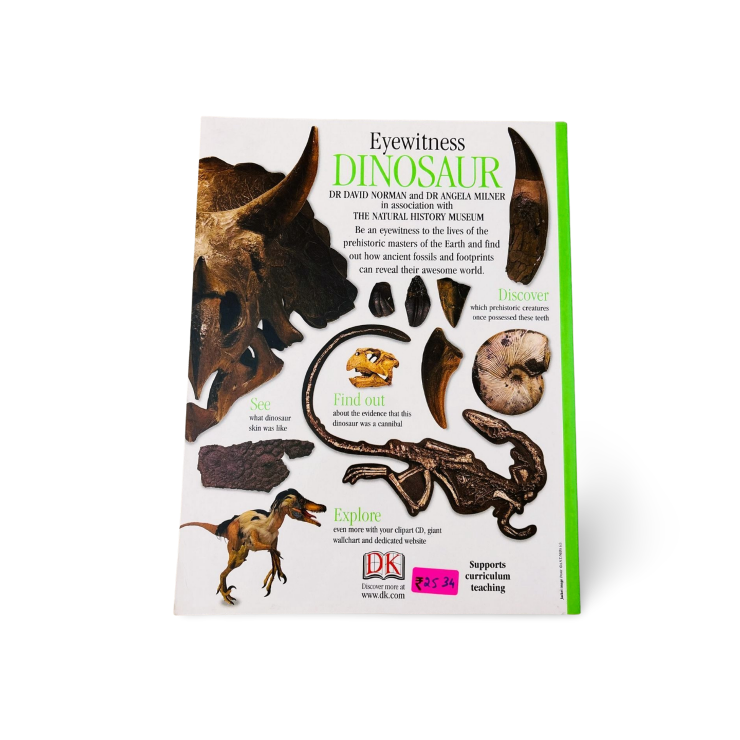 DK Eyewitness Dinosaurs