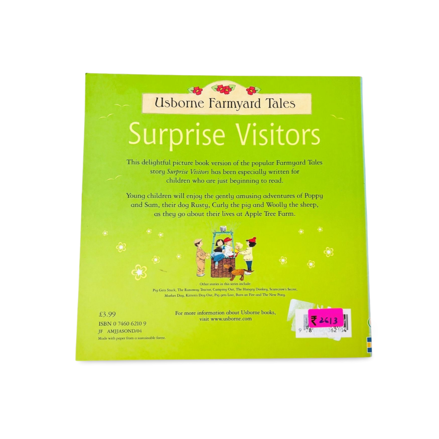 Usborne Farmyard Tales Surprise Visitors