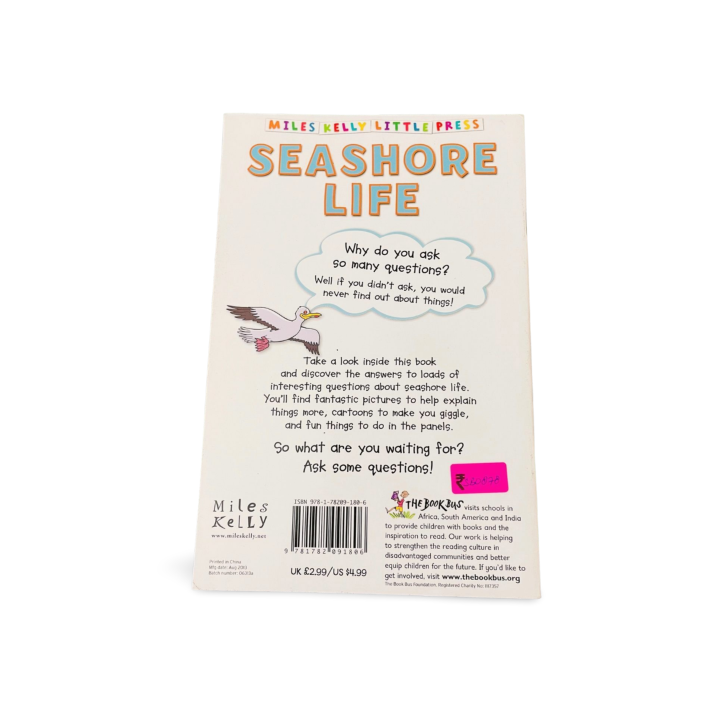 Miles Kelly_Seashore Life_First Q&A