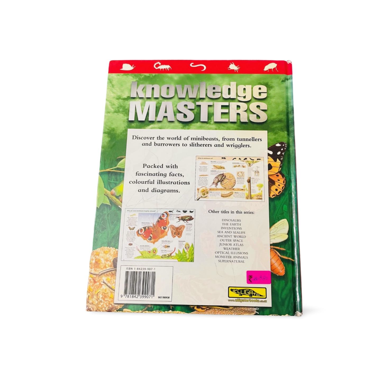 Knowledge Masters_Minibeasts