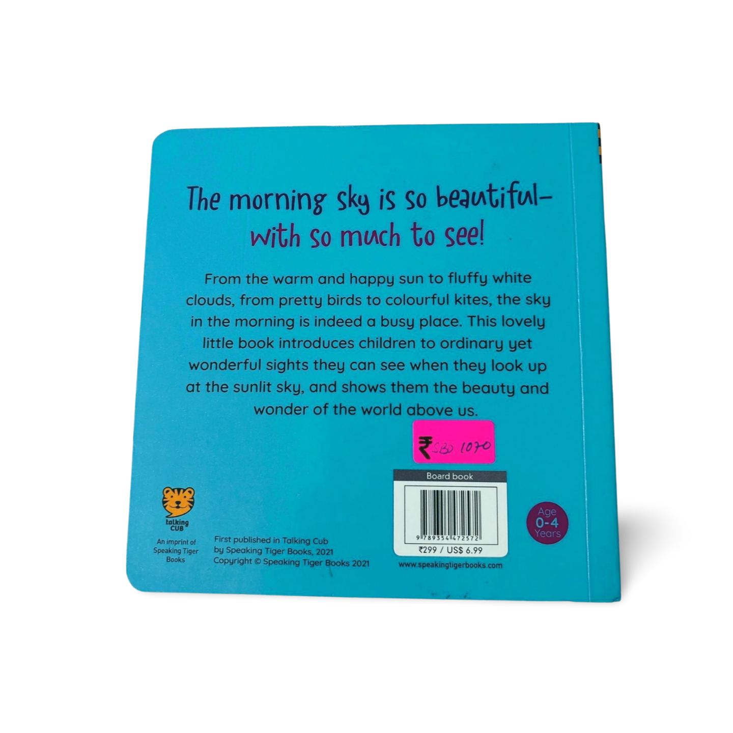 Things I See In the Morning Sky by Suvi Naidoo