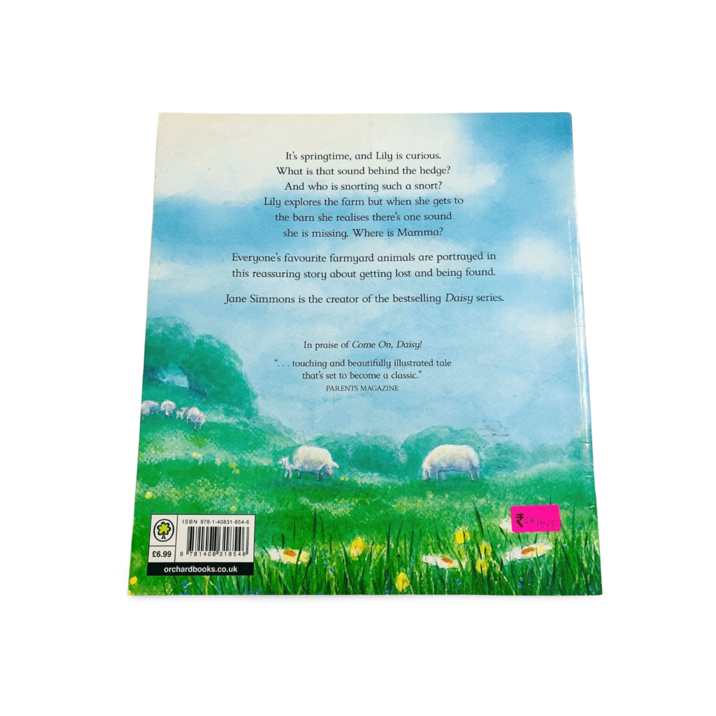 Lily Gets Lost!_Jane Simmons