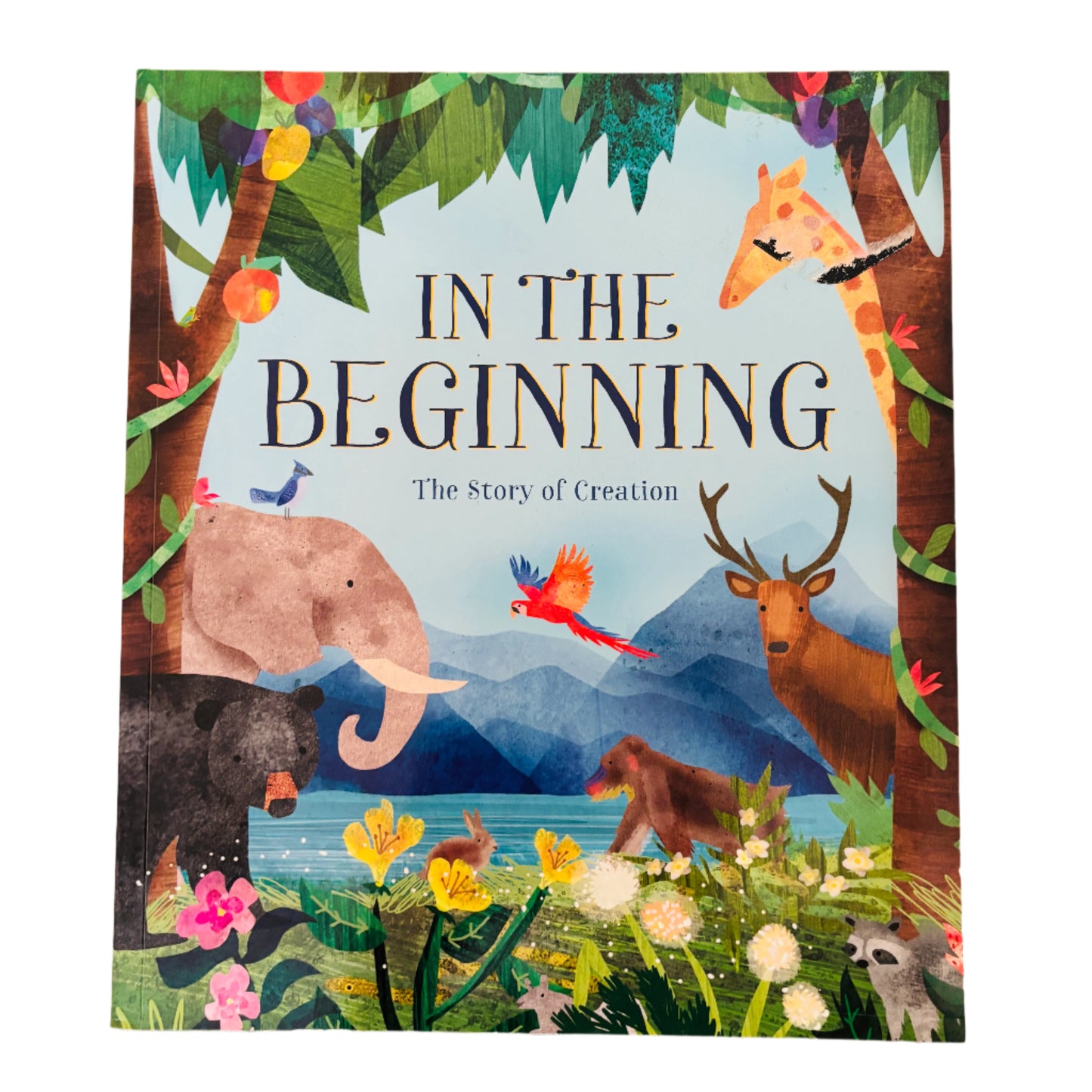 In The Beginning- The Story of Creation