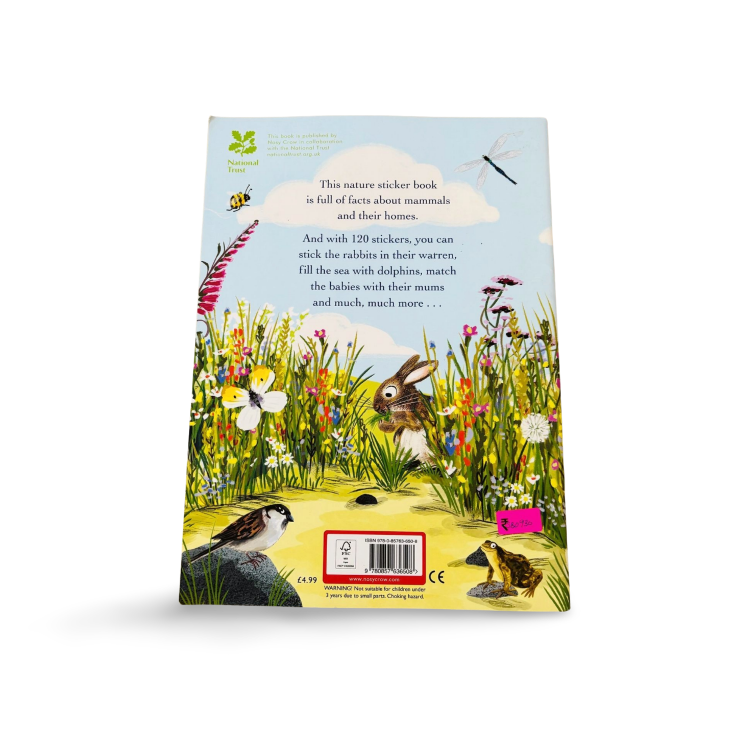 A Nature Sticker Book- Hedgehogs, Hares and other British Animals