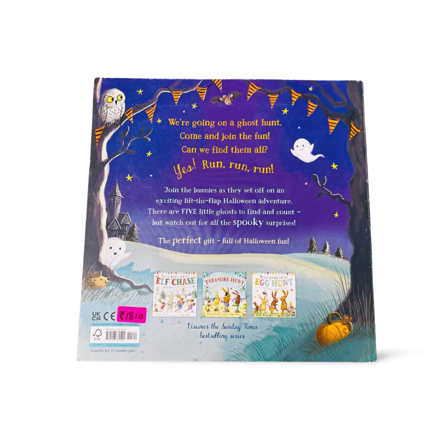 We're going on a Ghost Hunt Lift-the-Flap Book