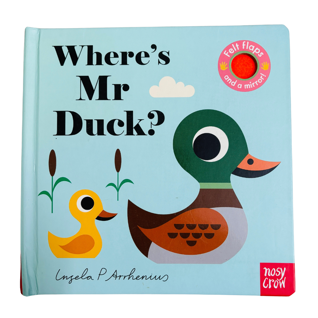 Where's Mr Duck? Touch & Feel