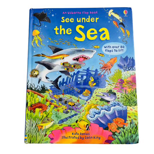 An Usborne Flap Book See Under the Sea