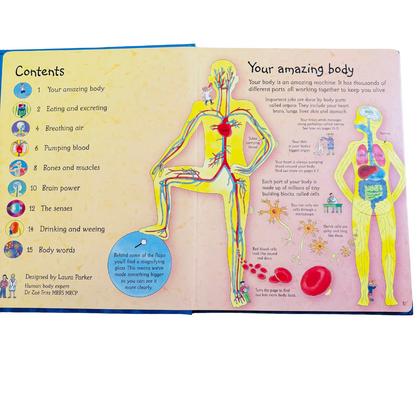 An Usborne Flap Book See Inside Your Body