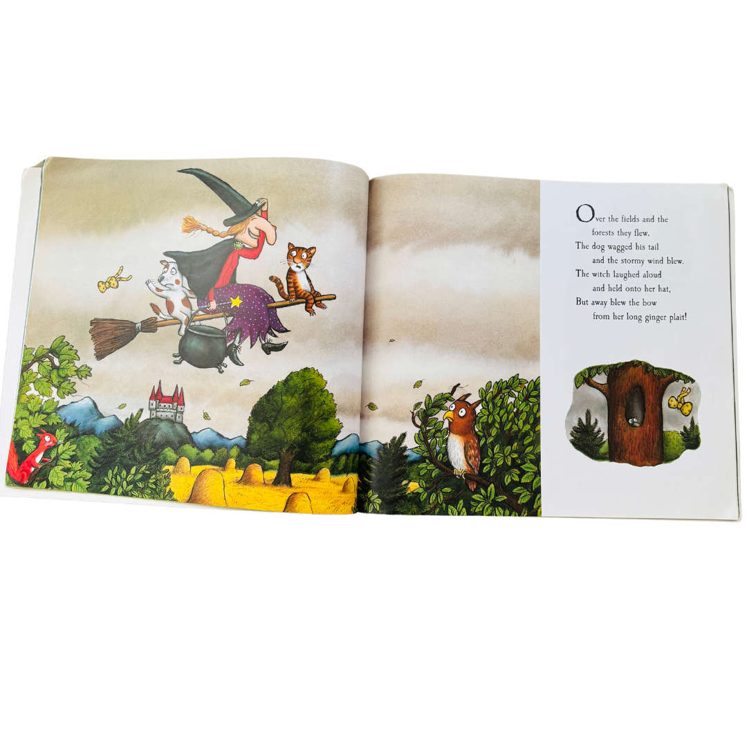 Julia Donaldson Room on the Broom