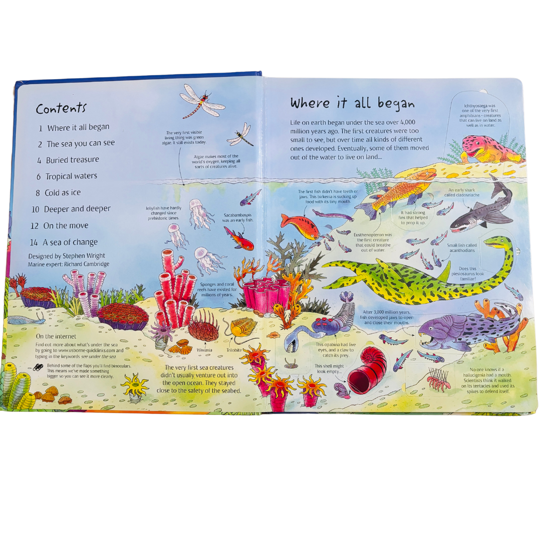 An Usborne Flap Book See Under the Sea