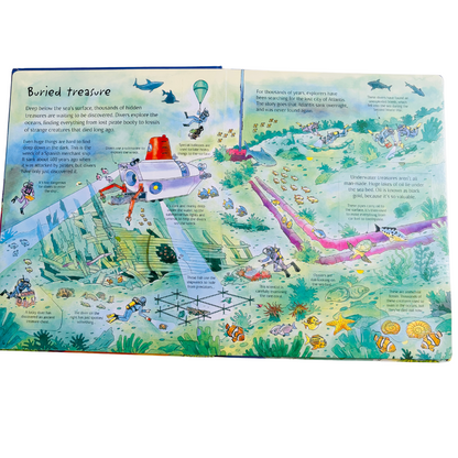 An Usborne Flap Book See Under the Sea