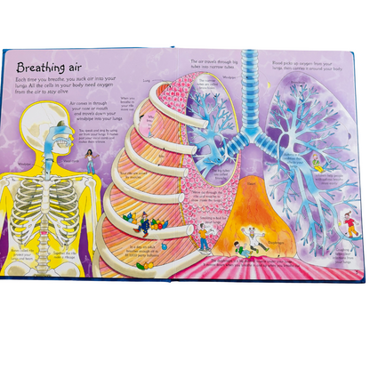 An Usborne Flap Book See Inside Your Body