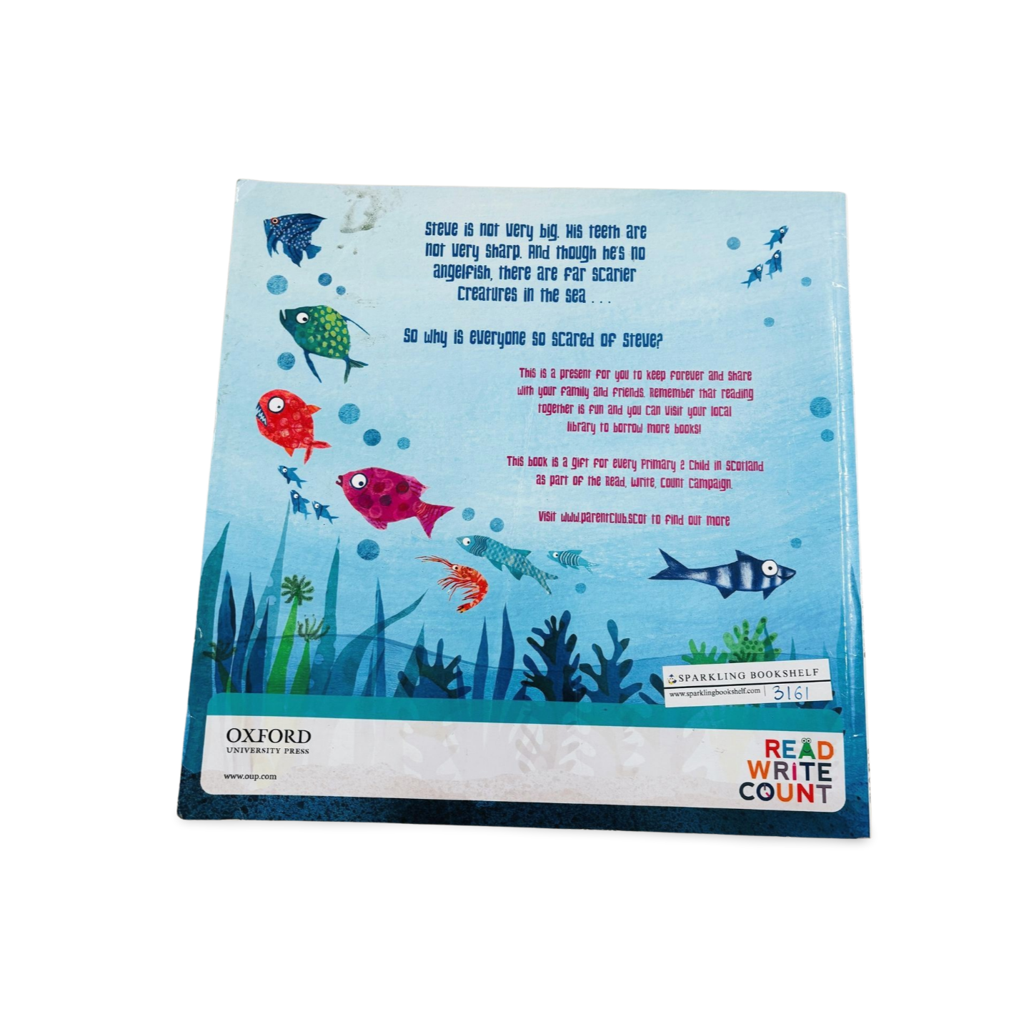 Steve, Terror of the Seas by Megan Brewis