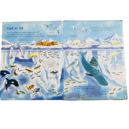 An Usborne Flap Book See Under the Sea