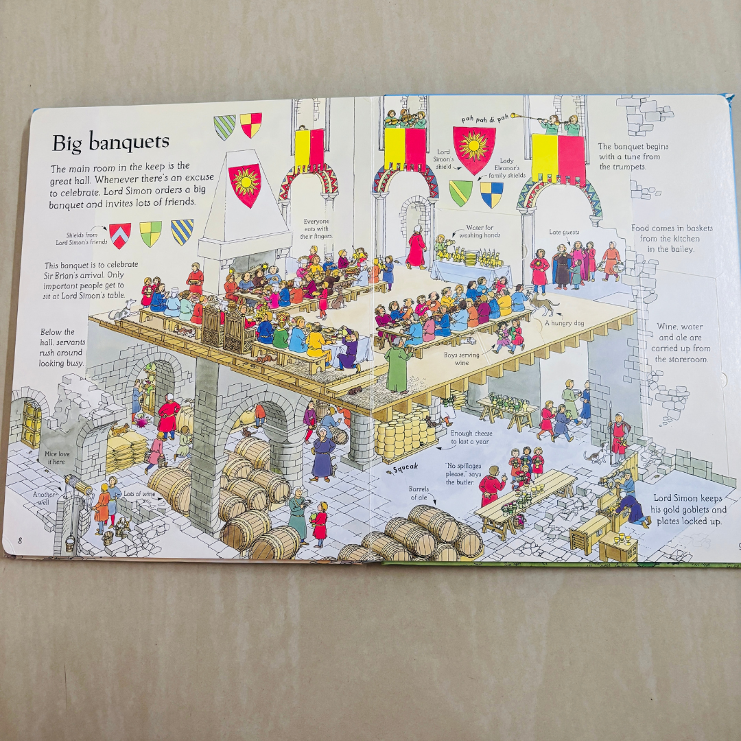 An Usborne Flap Book See Inside Castles